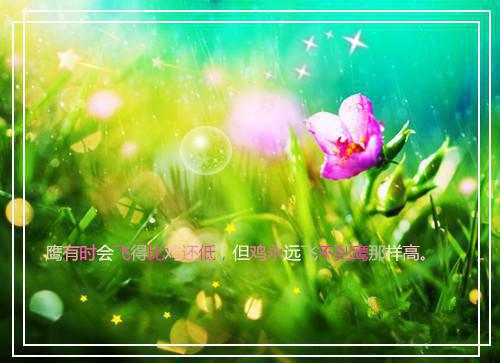 《妻子和男助理秀恩爱后我不要了》最新章节by佚名小说在线阅读