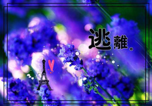 温阅音孟净柏的小说 温阅音孟净柏全文免费阅读