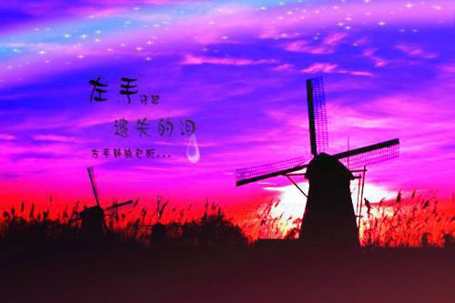 顾念宋迟筵免费 她的世界，在这一刻彻底崩塌完整版小说