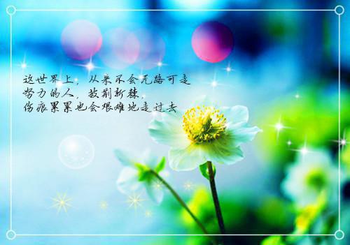 甩了嫌贫爱富妹后,哥哥我幸福了全文免费阅读冯都冯然然最新章节