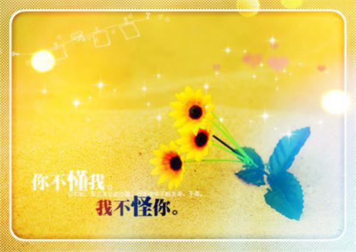 沈云姝崔北尧的小说 沈云姝崔北尧全文免费阅读