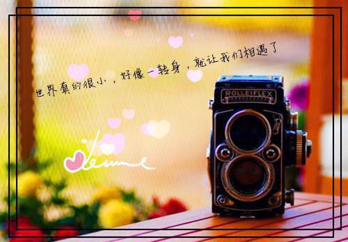 苏茵茵颜惜陆煜城小说叫什么 苏茵茵颜惜陆煜城小说全文免费阅读