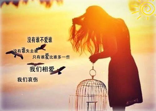 沈锐泽苏雅夏悦小说最新章节 沈锐泽苏雅夏悦免费阅读