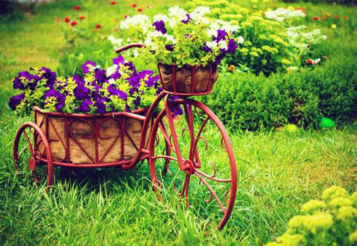 分手后，高冷男神哭惨了全文阅读（沈暮之宋枳）最新章节_分手后，高冷男神哭惨了全文阅读