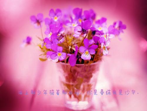 季挽宋屿小说全免读 季挽宋屿第2章在线阅读