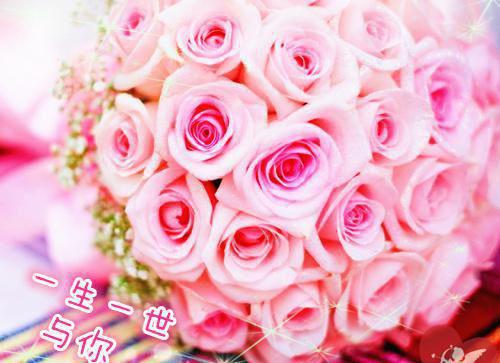 秦念白琳琳全文免费大结局 秦念白琳琳小说在线阅读