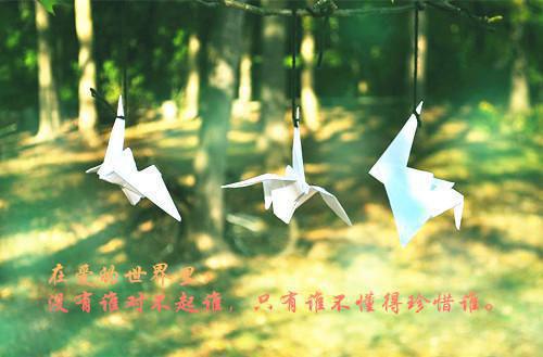 为陪白月光放花灯，丈夫对小姑子见死不救免费章节阅读 沈淮旭邱纯沈云舒全文阅读