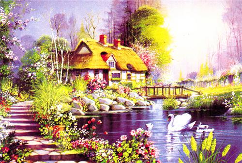 岁岁有余最后一章在线阅读 年穗全文小说完整版