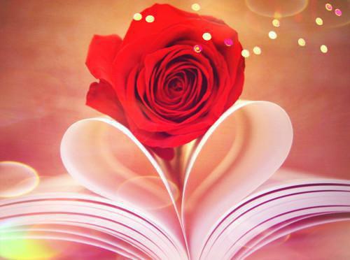 季篱叶晟安叶一棠第二章 季篱叶晟安叶一棠小说免费阅读