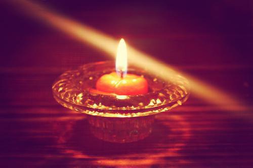 周子诚夏琳（周子诚夏琳）全文免费阅读无弹窗大结局_周子诚夏琳全文免费阅读（周子诚夏琳）最新章节列表（周子诚夏琳）