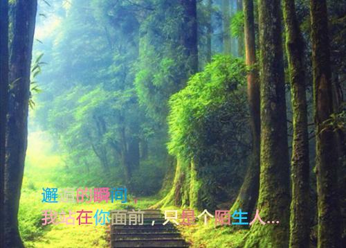 戚琮陈岁（戚琮陈岁）全文免费阅读无弹窗大结局-戚琮陈岁免费阅读全文大结局