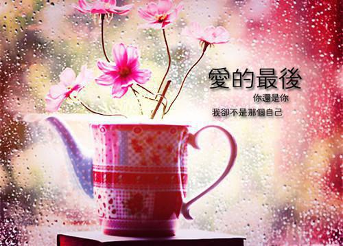 冷意欢云珠强扭的将军酸又涩，她不要了！在线阅读全本小说