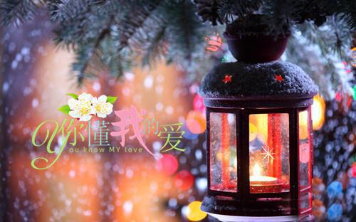 (抖音小说)乔言心傅铭安免费阅读第11章