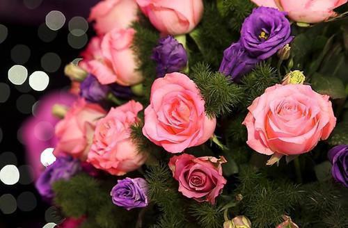 张岳高雪李敏高兰沈明小说名 我和妹妹重生在同一天佚名在线阅读