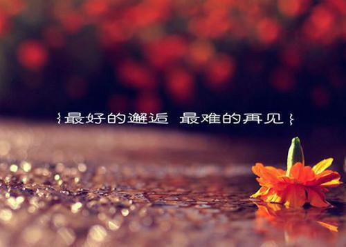 姜翎筱萧远聿免费小说 姜翎筱萧远聿完结版在线阅读