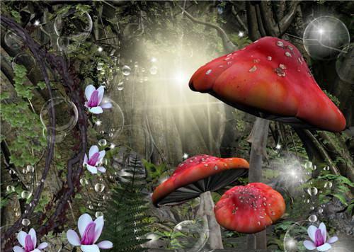 司棠秋傅惊鸿小说在线阅读 司棠秋傅惊鸿最新章节目录