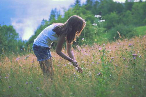 《苏安琪季寒璋小说》无弹窗全文免费阅读