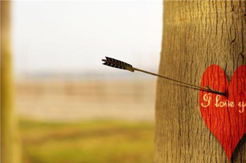 黎诗诗程瑾全文免费大结局 黎诗诗程瑾小说在线阅读