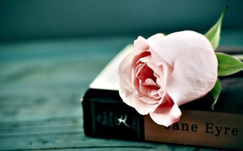 顾晏诚赵轩苏云莞小说全免读 顾晏诚赵轩苏云莞第2章在线阅读