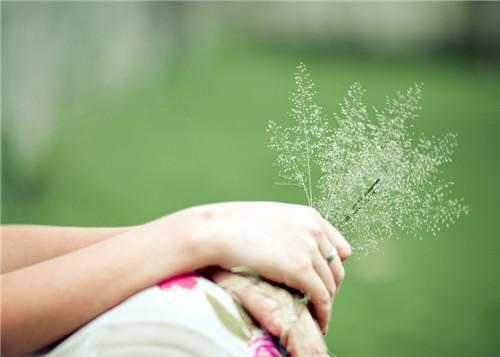 主角是宋竹栀靳淮肆的小说免费阅读全文大结局