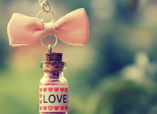 白芷玫付恒小说免费 白芷玫付恒第一章在线阅读