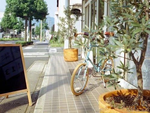 致命游戏丽丽完结小说全文在线阅读