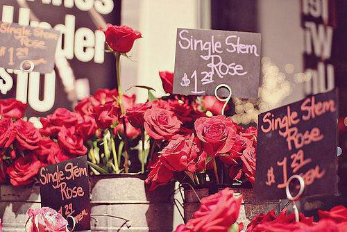 不爱了，又何必装作一往情深沈千怡楚铭章节目录免费看