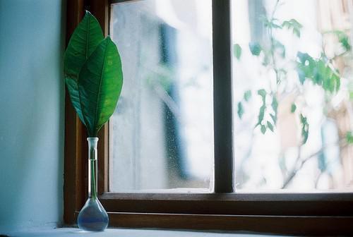 厉宸泽许繁星小说全文免费阅读无弹窗大结局_厉宸泽许繁星许繁星厉宸泽最新章节列表（厉宸泽许繁星）