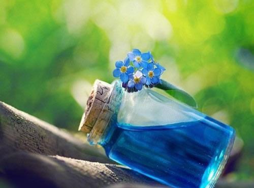 秦诗沈阅免费全本小说 秦诗沈阅章节目录