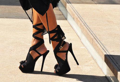 沈望津白疏月小说叫什么 沈望津白疏月小说全文免费阅读