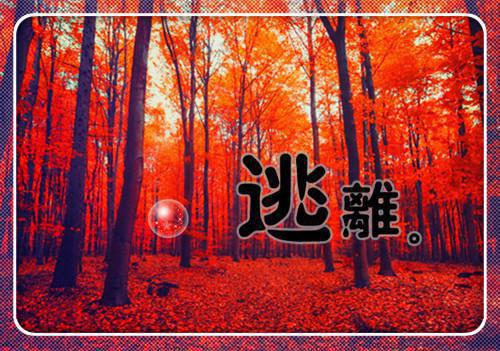 听从网友意见后,我带球跑了小说无弹窗全文阅读 陆尧晏时洛宁章节列表