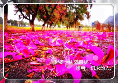 冉闻宁池拓林小说 冉闻宁池拓林免费章节阅读