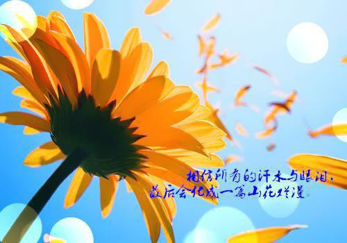 冷宁雪赵氿渊小说 冷宁雪赵氿渊全文免费阅读