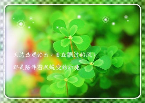 孟瑾东岑慕奚结局全文阅读_孟瑾东岑慕奚结局全文免费阅读