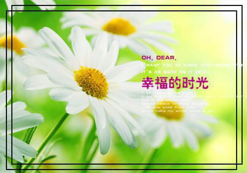 林天迟苏素颜向华免费阅读无弹窗 林天迟苏素颜向华最新章节