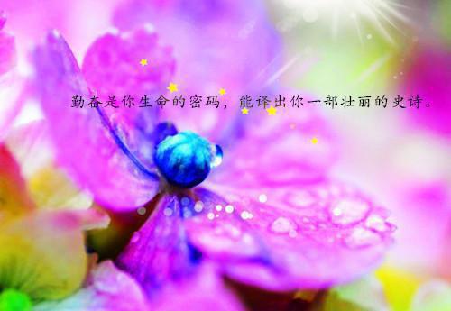 顾云柔顾星朗无弹窗 千金归来顾云柔顾星朗全文免费阅读