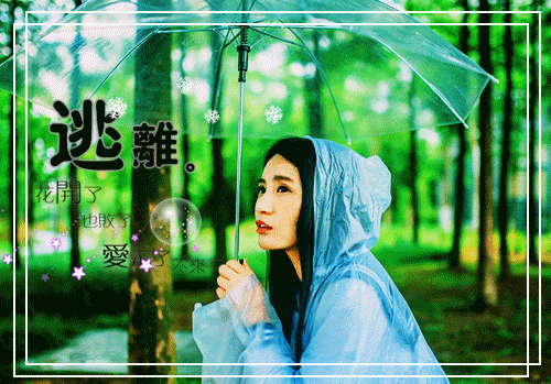 陈泽张国鑫小说最后结局 陈泽张国鑫完结版免费阅读