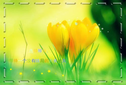 姜雨棠沈如诲小说 姜雨棠沈如诲全文免费阅读