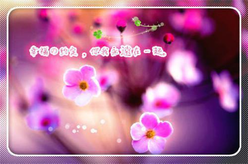 谢弥时漾免费阅读 谢弥时漾最新章节目录