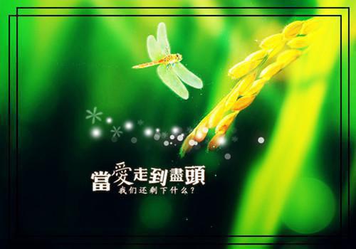 甜味画心全文目录 傅南修姜婳小说免费阅读无广告