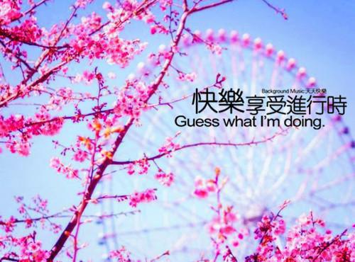 温阅音孟净柏小说全文阅读 温阅音孟净柏第5章