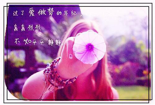 高赞小说（沈曲樱傅闫霆小说免费阅读）完结阅读_沈曲樱傅闫霆全文免费阅读最新章节大结局
