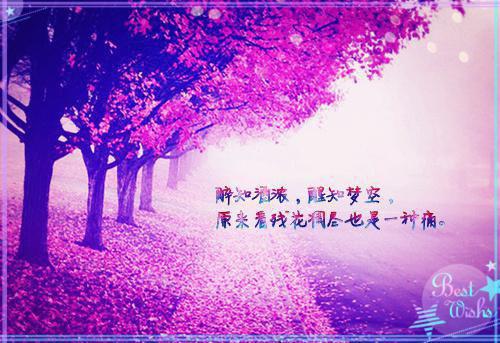 叶瑶男小说名 炎炎夏日,我爸啤酒创业小小因果在线阅读