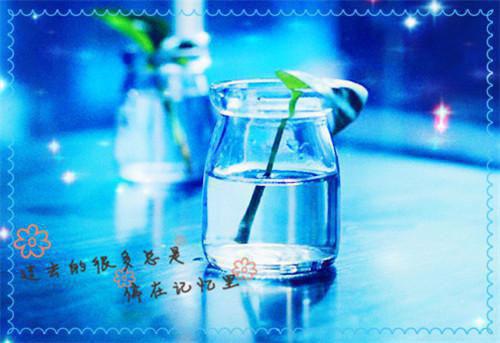 荒野直播我直接带妹起飞最新小说（秦书洛,老秦,秦晚皎）全文阅读