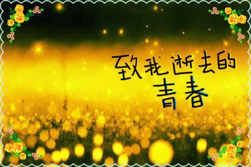 宋嬷嬷晚儿完整未删减版在线阅读 宋嬷嬷晚儿结局