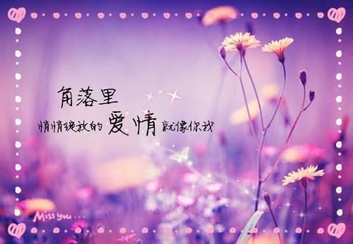 萧茜沈君安免费小说 萧茜沈君安在线阅读