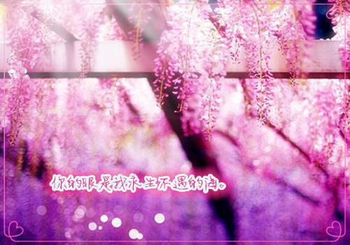 夏晚棠周渝辰小说全免读 夏晚棠周渝辰第一章在线阅读