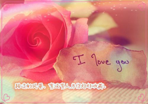 金莲杨波免费小说 金莲杨波在线阅读