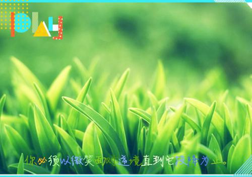 孟云川免费阅读 孟云川最新章节目录