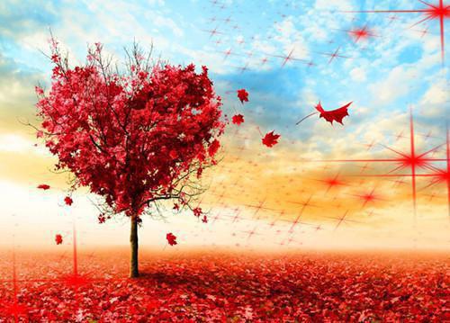 遇你三生有幸全文在线阅读全文阅读 江肆沈悦宁宋郁泽小说无删减无弹窗